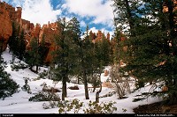 Photo by WestCoastSpirit |  Bryce Canyon bryce, canyon, nps, utah
